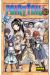 FAIRY TAIL 33