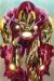 IRON MAN 121 / 2