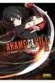 AKAME GA KILL! 13