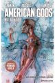 AMERICAN GODS TOMO 2