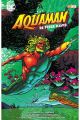 AQUAMAN DE PETER DAVID 2