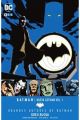 BATMAN NUEVA GOTHAM 1