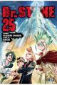 DR STONE 25