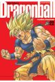 DRAGON BALL ULTIMATE 22