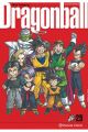 DRAGON BALL ULTIMATE 29