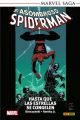 EL ASOMBROSO SPIDERMAN. HASTA QUE LAS ESTRELLAS SE CONGELEN 2