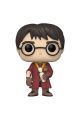 FIGURA FUNKO POP HARRY POTTER - CHAMBER OF SECRETS ANNIVERSARY HARRY 149