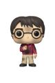 FIGURA FUNKO POP HARRY POTTER