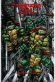 LAS TORTUGAS NINJA: LA SERIE ORIGINAL 5