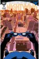 NIGHTWING 29