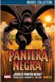 PANTERA NEGRA DE HUDLIN ¿QUIEN ES PANTERA NEGRA? 1