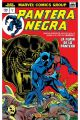 PANTERA NEGRA. LA FURIA DE PANTERA 1