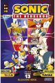 SONIC THE HEDGEHOG 13