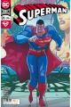 SUPERMAN 110 / 31