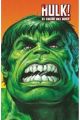 THE HULK EL COLOR DEL ODIO 1