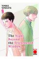 THE NIGHT BEYOND THE TRICORNERED WINDOW 9
